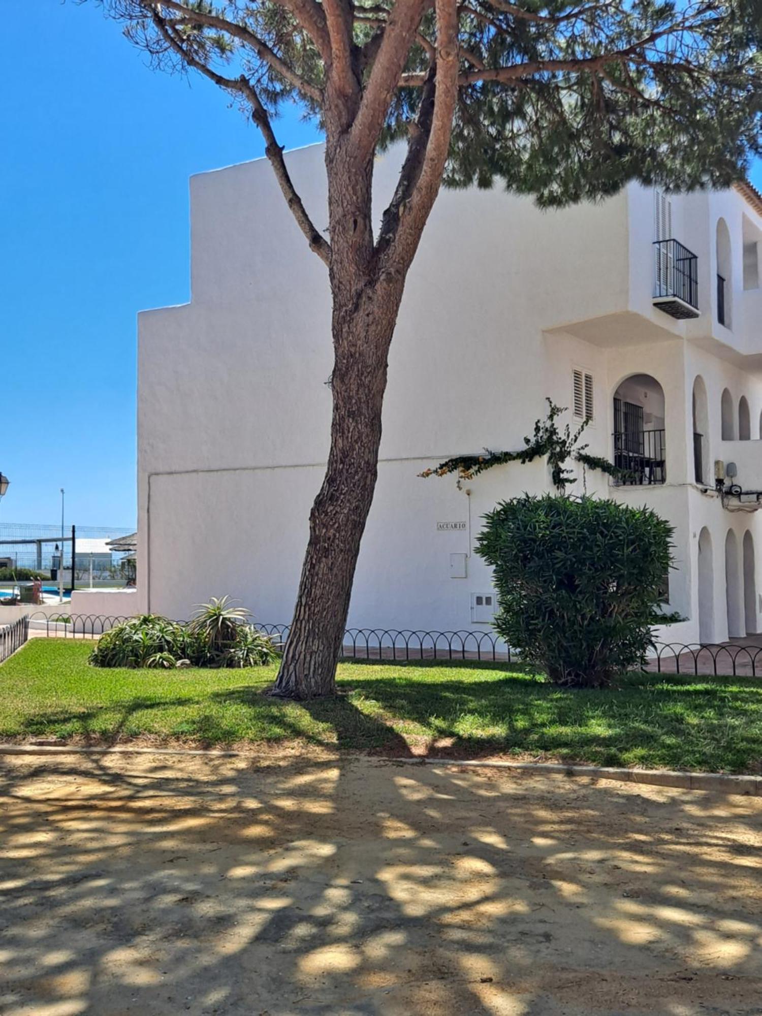 Apartamento Bajo Acuario Chiclana de la Frontera Eksteriør billede